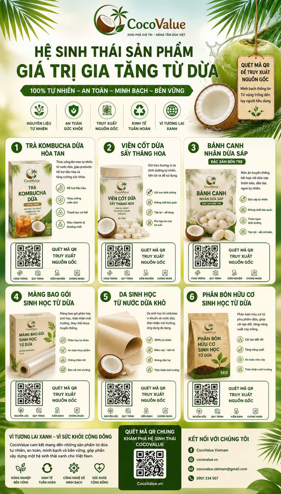 Infographic hệ sinh thái sản phẩm giá trị gia tăng từ dừa CocoValue